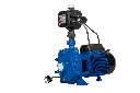 _DSC8303.webp