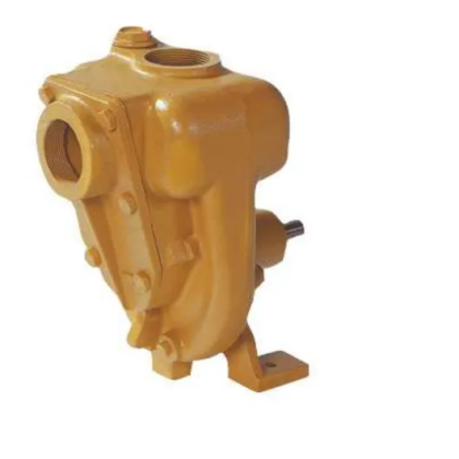 Bare Shaft Self Priming Pump B1½KQ-A "W" kW