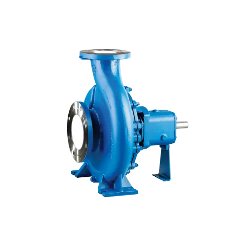 CRI Pumps End Suction Pump - CG -  ECW 100/200