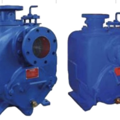 CRI Pumps Sewage Pump - ECN-80D - 650 to 2150
