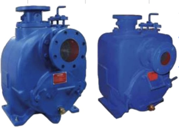 CRI Pumps Sewage Pump - ECN-80D - 650 to 2150