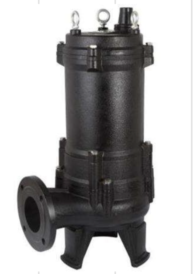CRI Pumps Sewage Pump - SM-1E-55-FT - 5.50 kW
